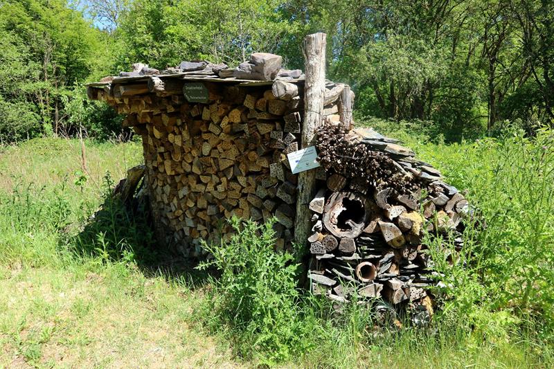3. Führung durch den Naturpädagogischen Garten