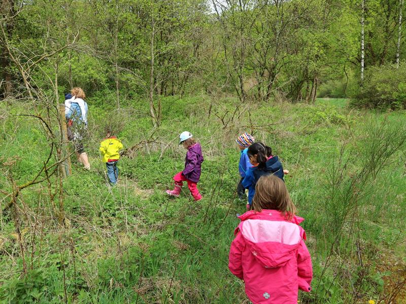 3. Wir erleben die Natur (Spillschoul/Kindergarten)