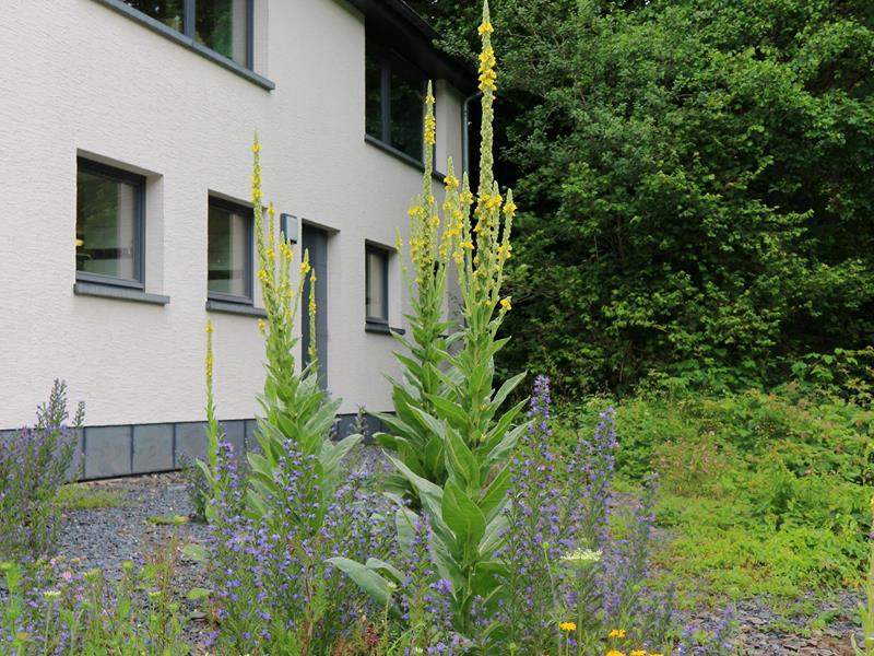 Programm für Inklusionsgruppen