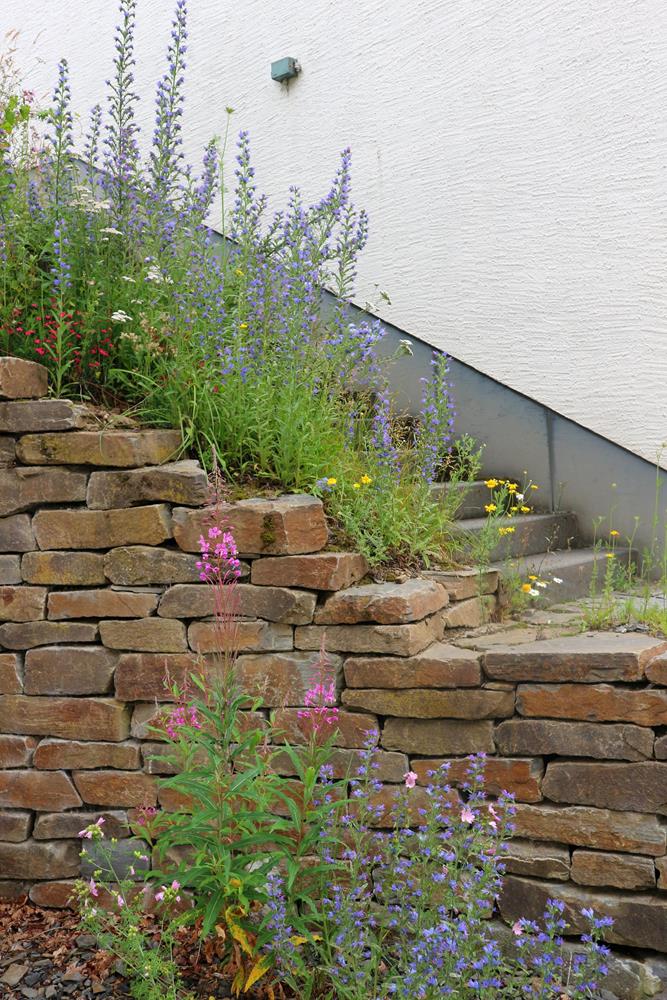 Führung durch den Naturpädagogischen Garten