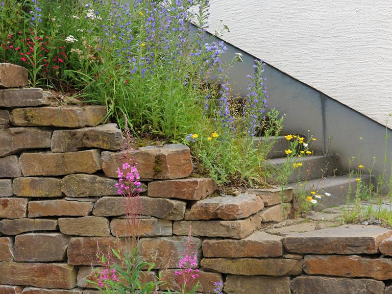 Führung durch den Naturpädagogischen Garten