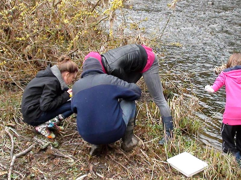 1. Was lebt in der Our? - Wassererlebniszentrum